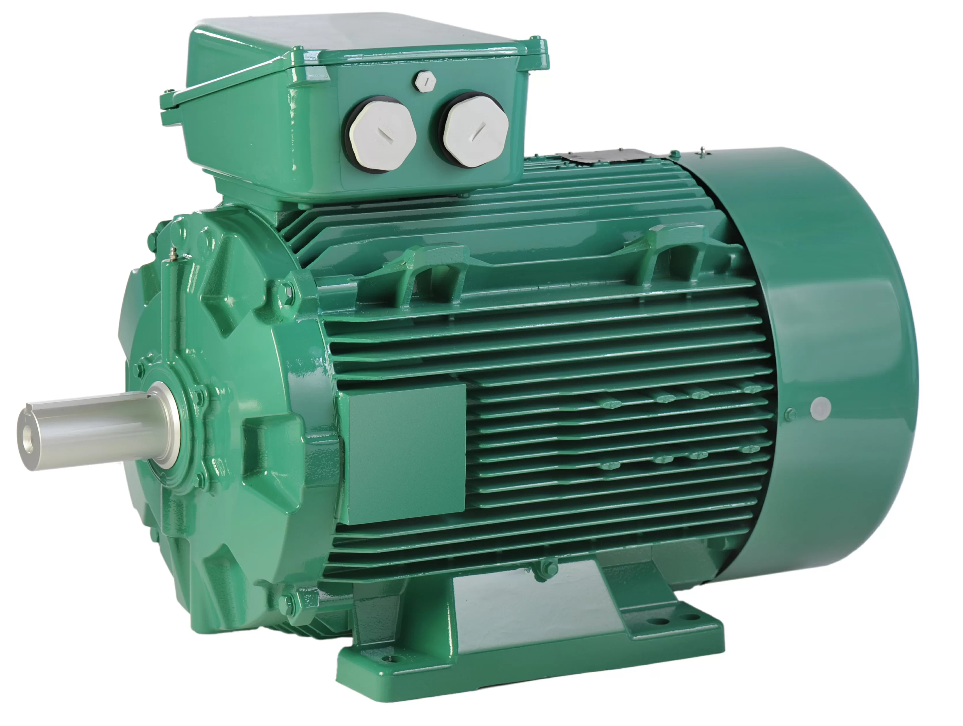 Moteur électrique asynchrone triphasé haut rendement Leroy Somer LSES