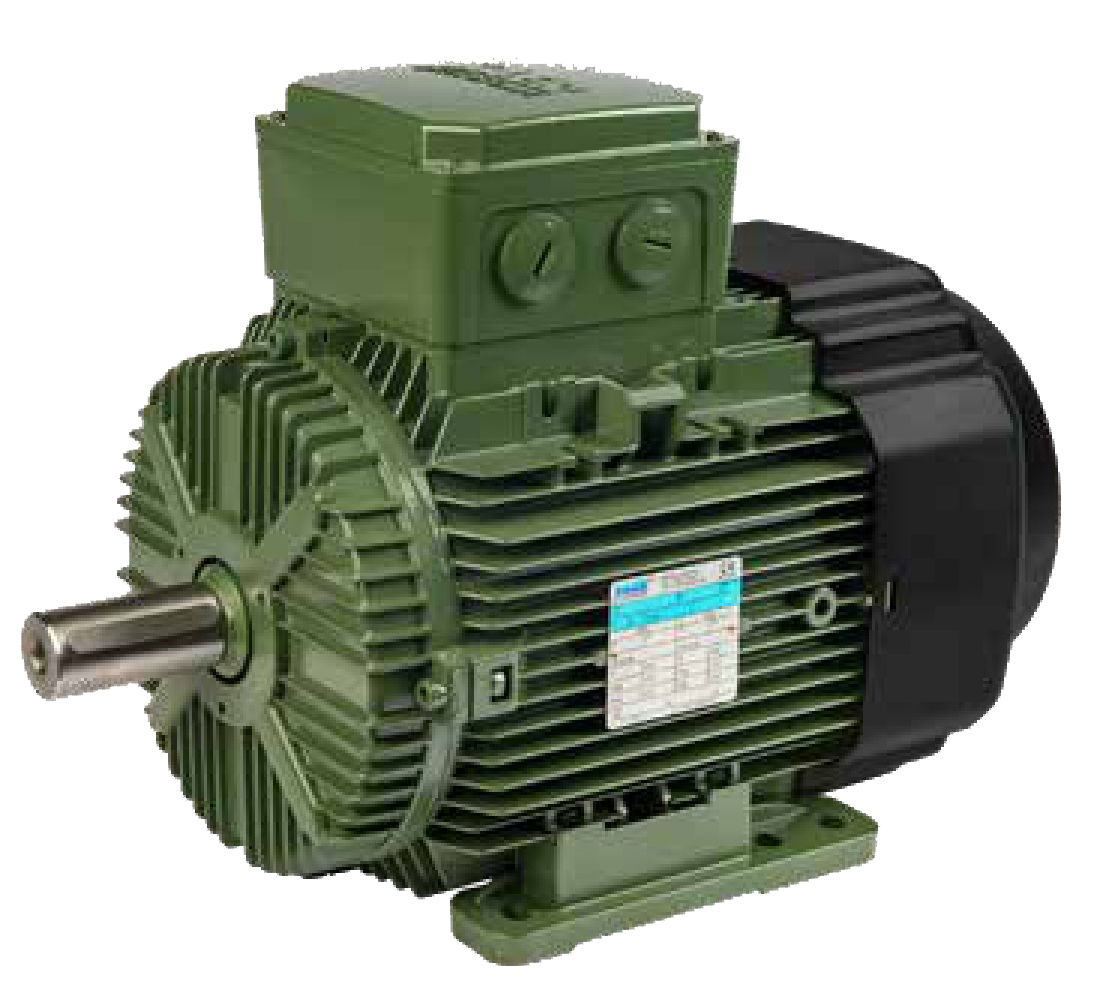 Moteur électrique IE3-IE4 Saer MT